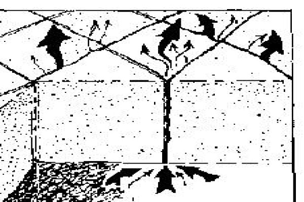 Hyson Cells
