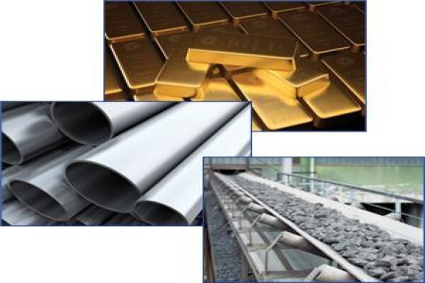 Vega Holding (Pty) Ltd