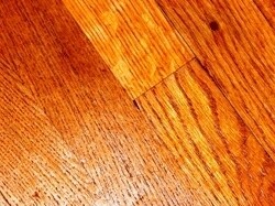 Floor It All