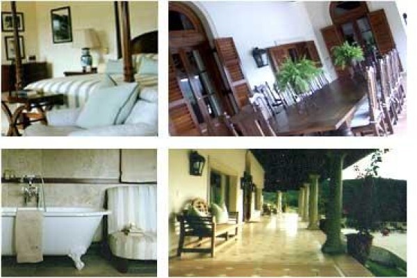 Alexandra Pama Interior Design