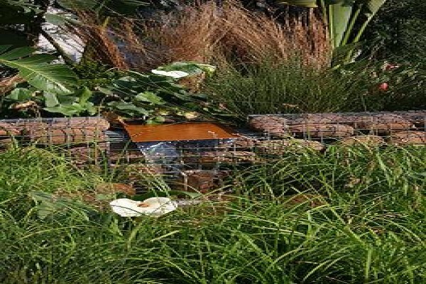 School Of Gardening: Lindsay Gray
