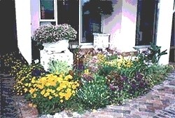 Cape Garden Care