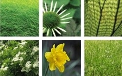 Garden Concepts