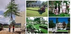 Marais Horticulturist