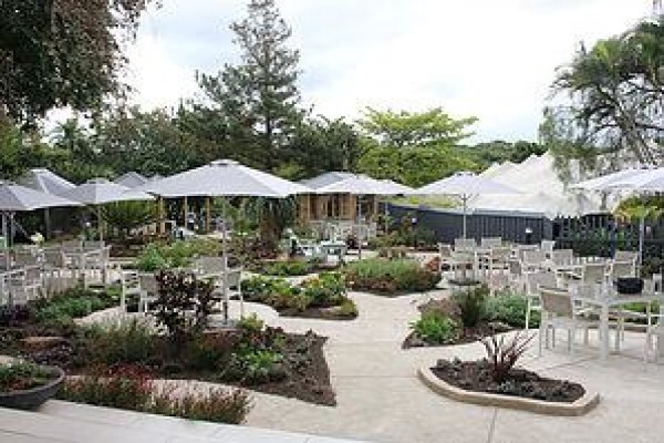 School Of Gardening: Lindsay Gray