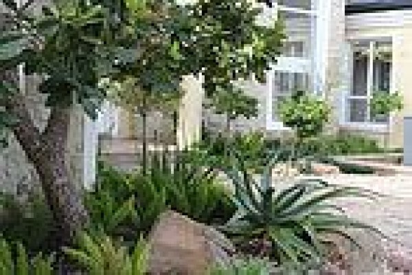 School Of Gardening: Lindsay Gray