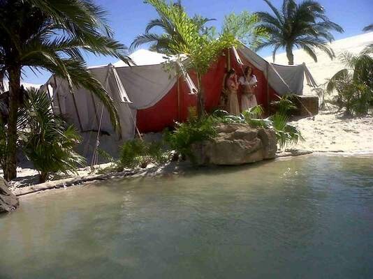 Turtle Rock Landscaping