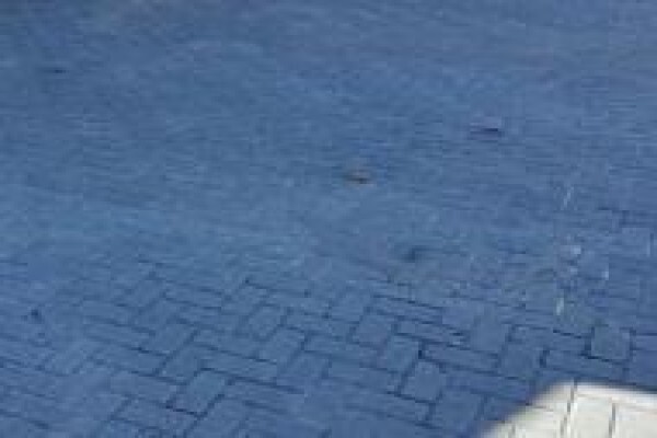 Parkland Paving