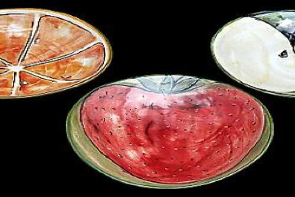 Rhoda Henning Painting Classes