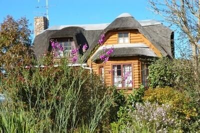 Mountain View Cottages