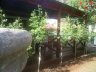 Lilly Guest House