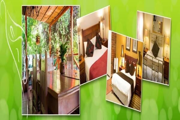 Lilly Guest House