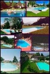 DWG Swimming Pool Services
