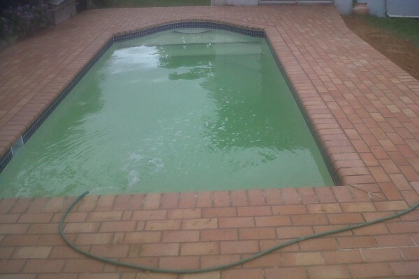 Pool & Patio