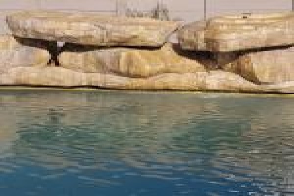 Thatchcrete Rock Pools CC