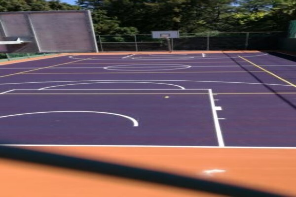 Protea Sports Courts