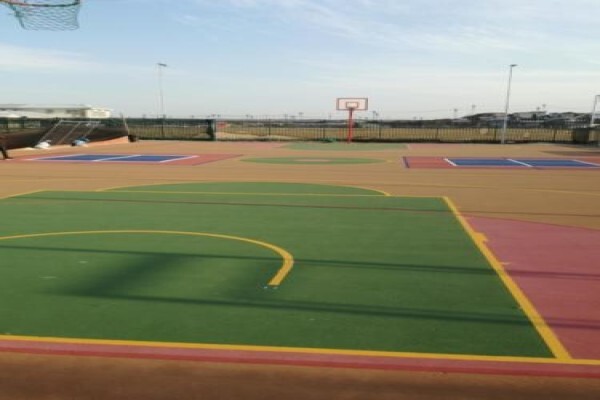 Protea Sports Courts