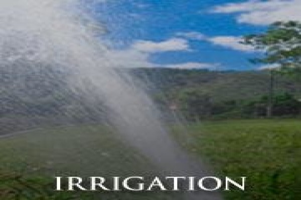 Arrie's Wellpoints Irrigation & Boreholes