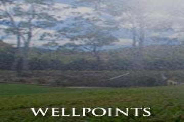 Arrie's Wellpoints Irrigation & Boreholes