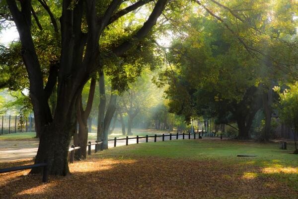 Maccauvlei on Vaal