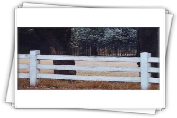 East Rand Walling (Putfontein)