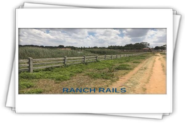 East Rand Walling (Putfontein)