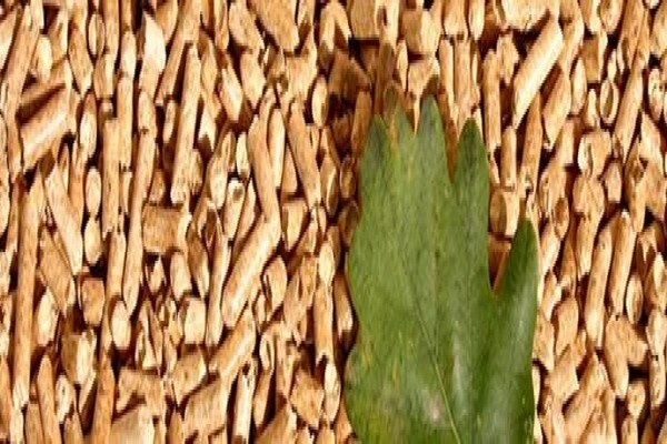 HVE Woodpelleting CC