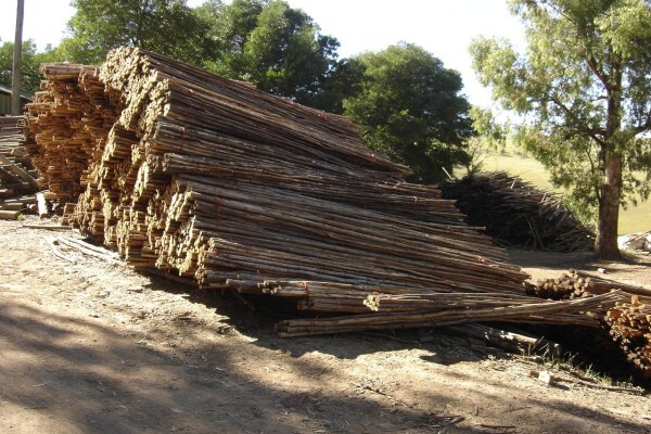 Stutt Poles