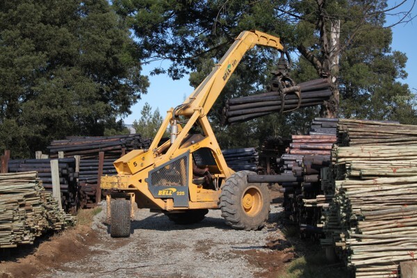 Stutt Poles
