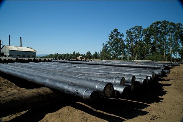 Treated Timber Products