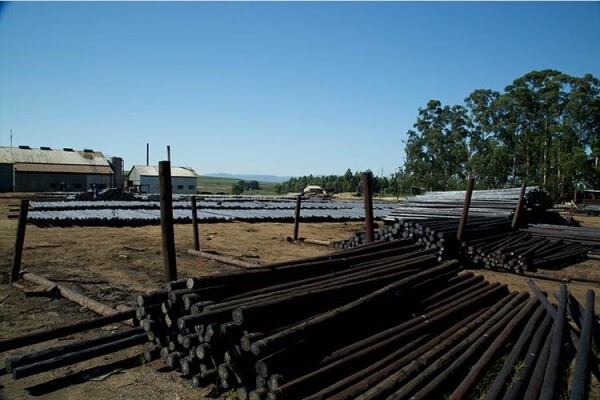 Treated Timber Products