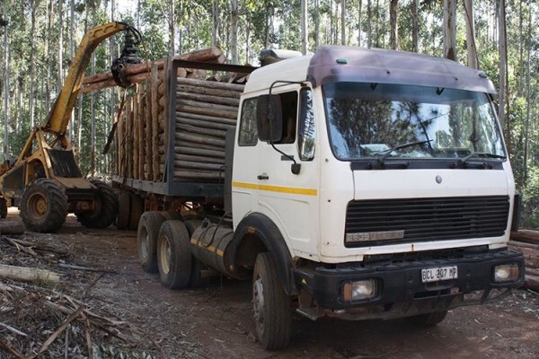 Treated Timber Products