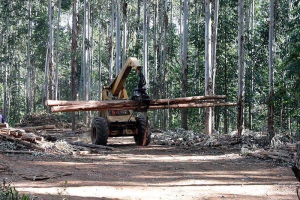 Treated Timber Products