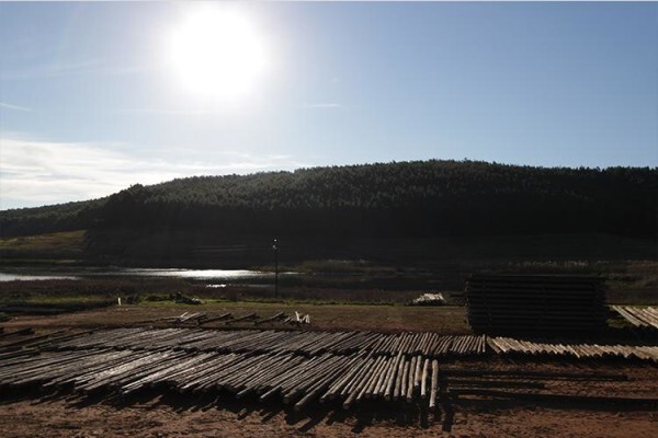 Treated Timber Products