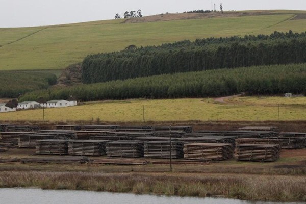 Treated Timber Products
