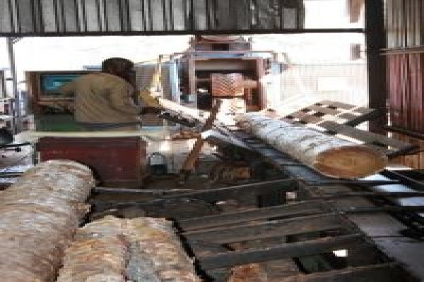 White River Saw Mills