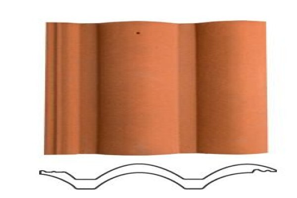 Eagle Roof Tiles