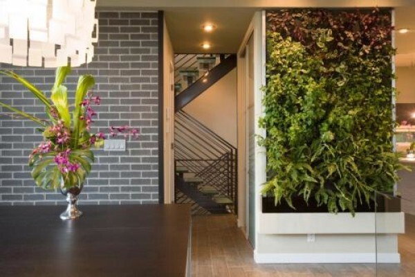 Makana Brick:Office
