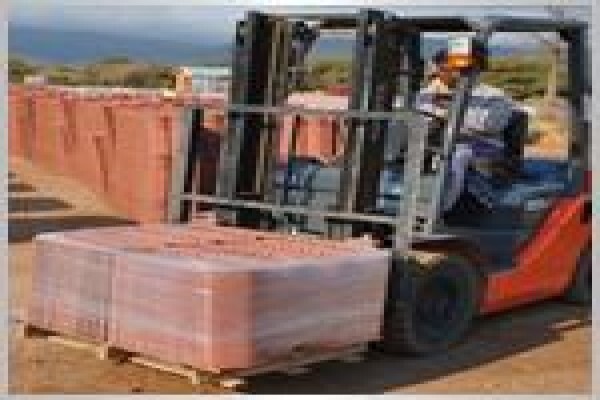 Masequa Bricks