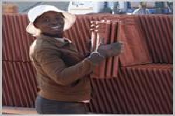 Masequa Bricks