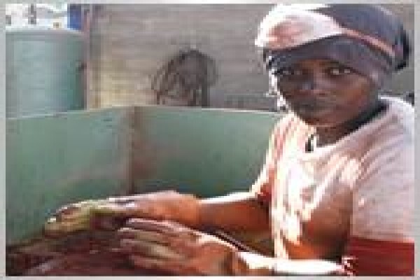 Masequa Bricks