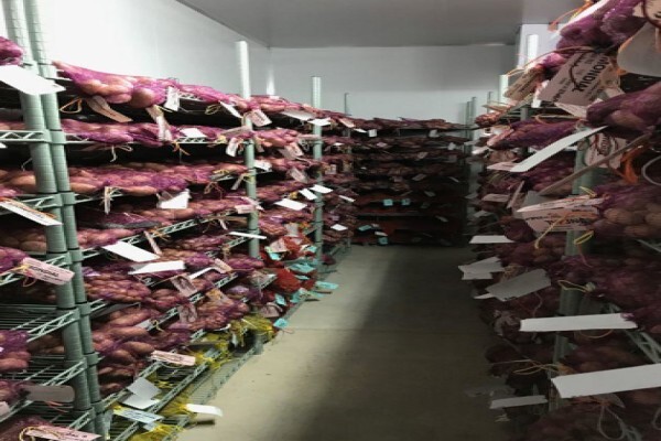Euroshelf (Pty) Ltd