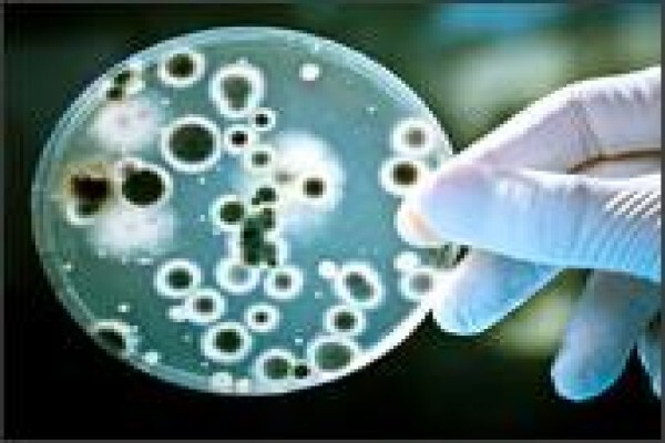 Kimix Chemical & Lab Supplies CC