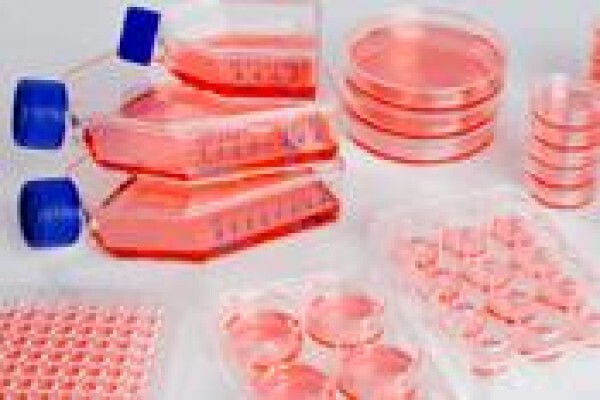 Applera SA (Pty) Ltd