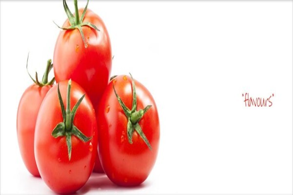 Cell-Chem (Pty) Ltd