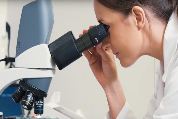 Chemimpo
