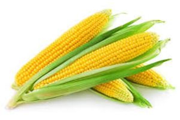 W F M Wholesome Foods Manufacturing