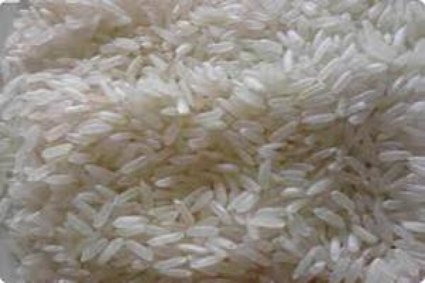 W F M Wholesome Foods Manufacturing