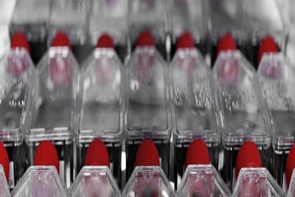 Lanxess (Pty) Ltd:Chrome Chemicals