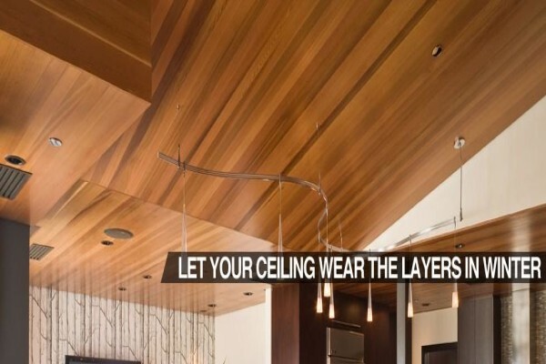 Thermguard CC